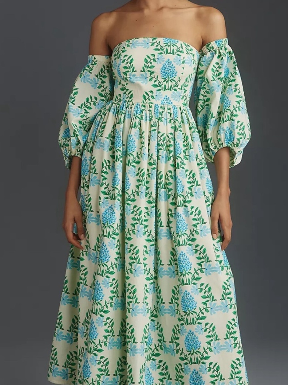 Anthropologie Cream Floral Smocked Maxi Dress with Blue Blooms